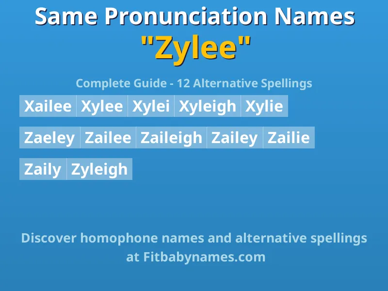 Infographic: Zylee same pronunciation names, similar names, and homophone names